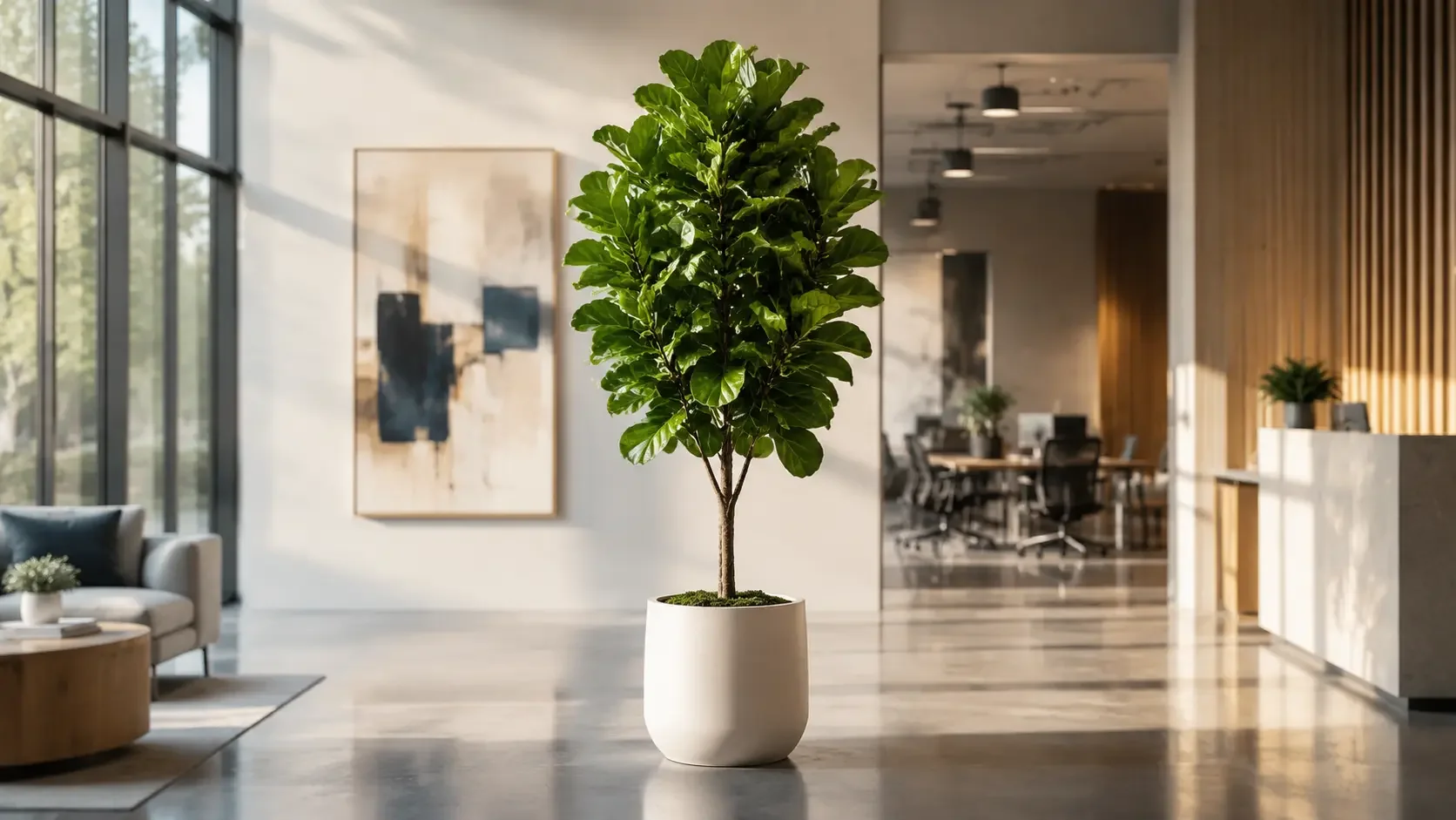 Artificial fiddle leaf fig statement tree in a bright modern commercial office lobby
