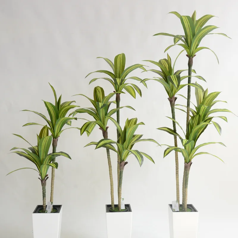 Large-leaf Artificial Dracaena series