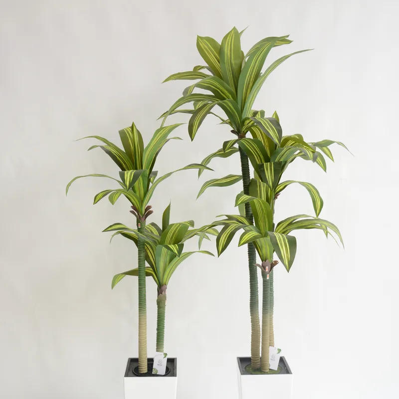 Two-trunk Artificial Dracaena series
