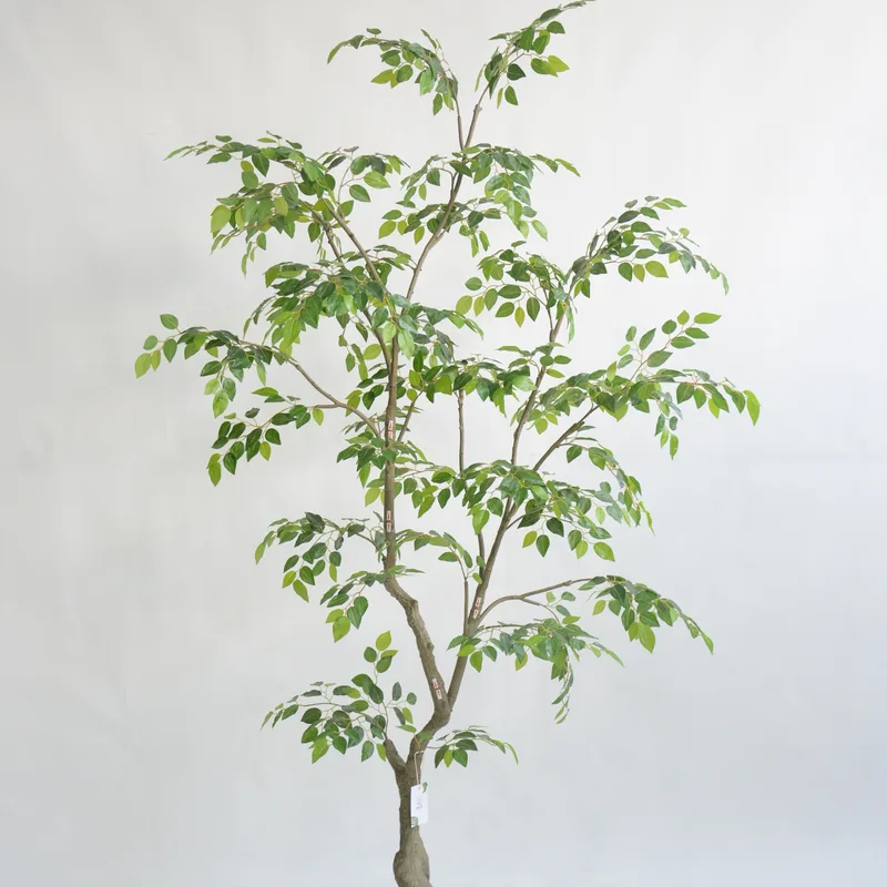 Large Head Mini Ficus — artificial 8ft