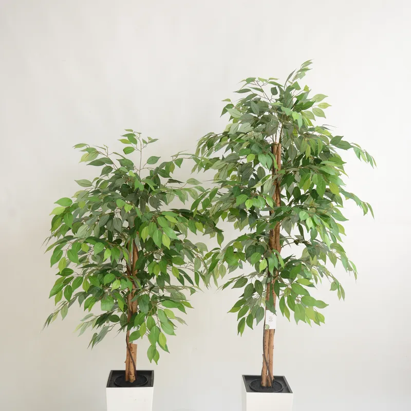 Three-trunk Real Wood Artificial Ficus