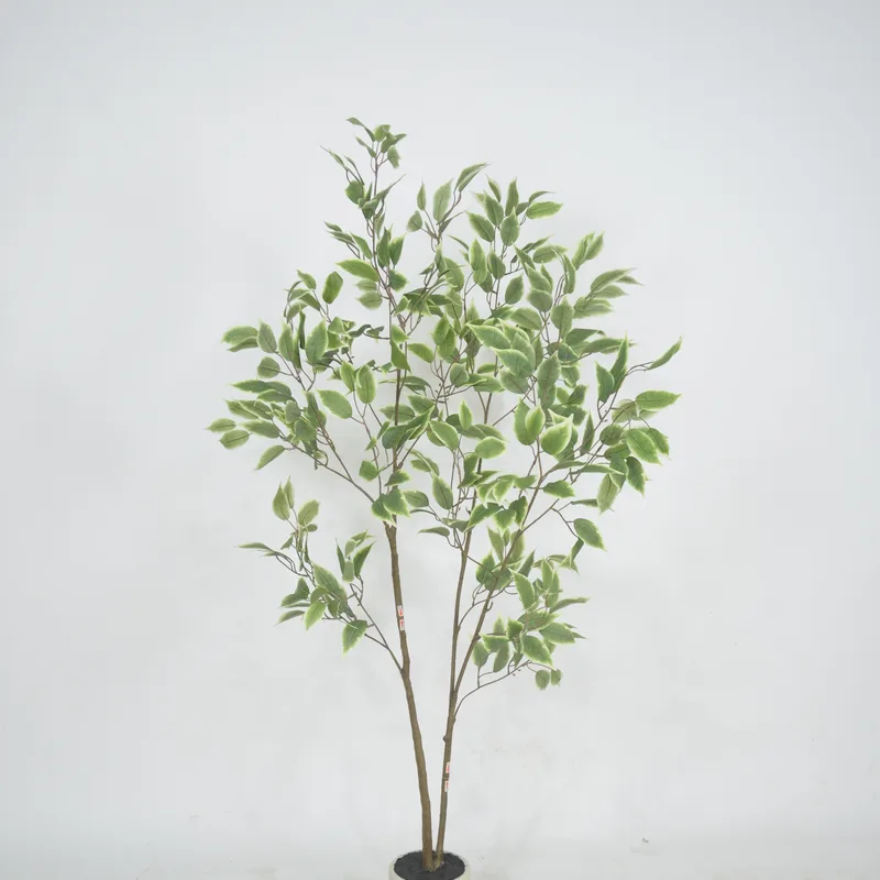 Variegated Artificial Ficus with white-edge leaves