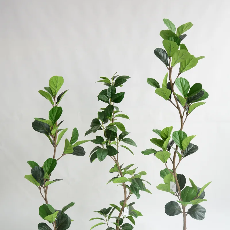 Curved Trunk Artificial Fiddle Leaf Fig series