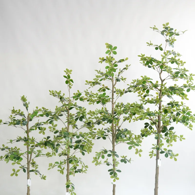 Straight Black Artificial Olive Tree series