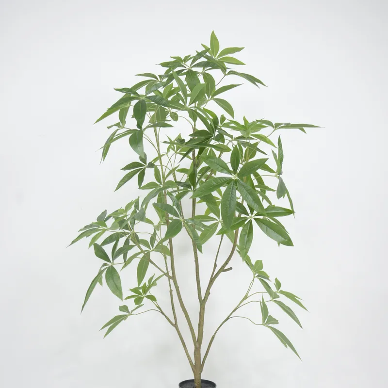Multi-branch Artificial Money Tree