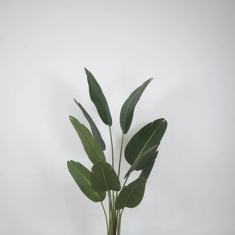 Artificial Traveler's Palm