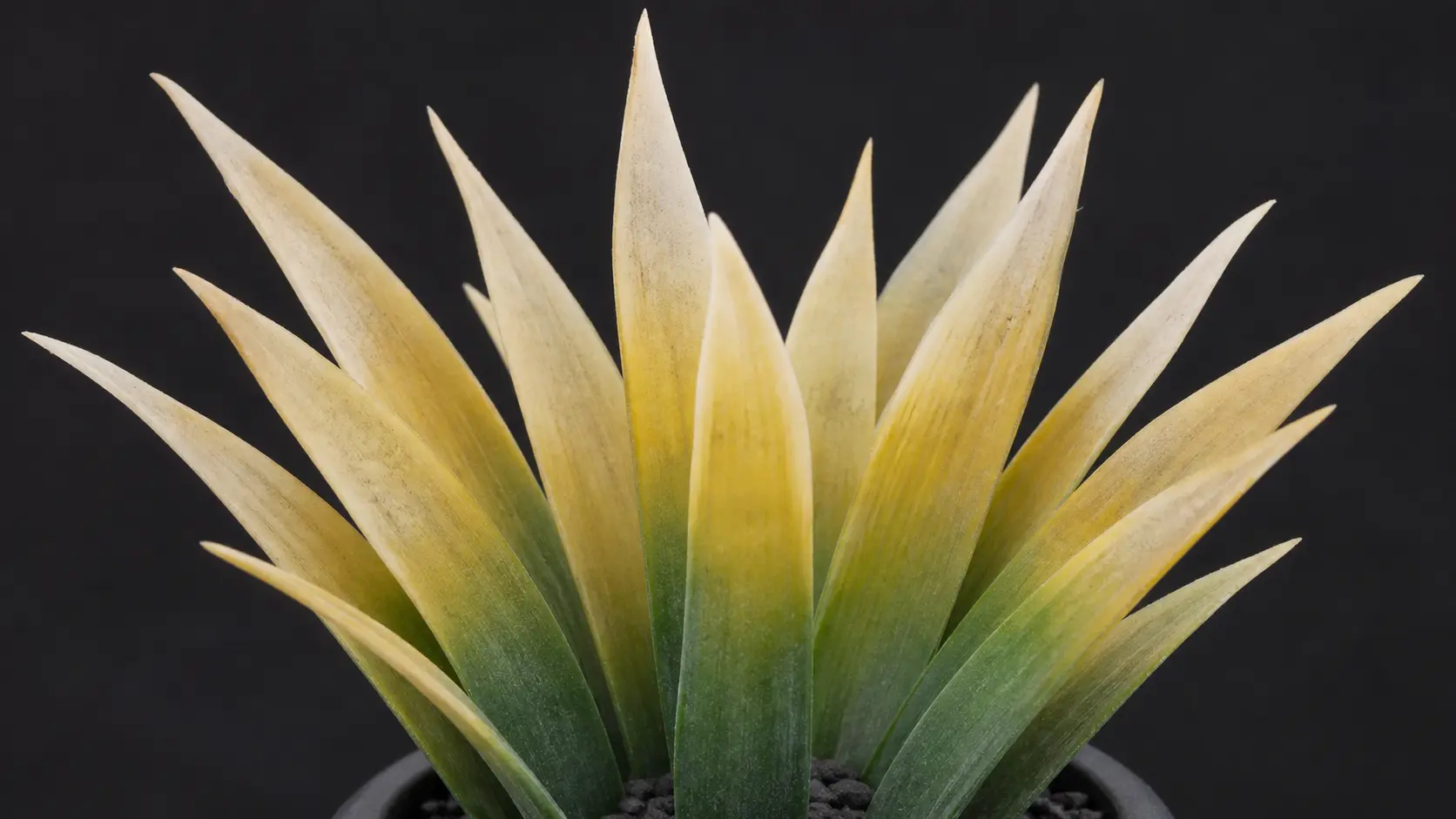 Artificial plant showing UV damage — tips bleached yellow-white while base remains green, classic tip-to-base UV fade pattern