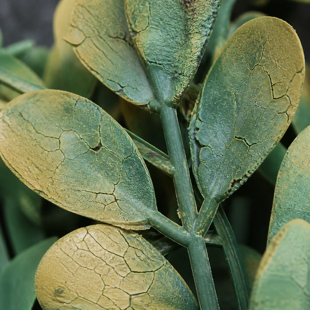UV-damaged standard plastic artificial leaves showing severe surface cracking, yellowing, and brittleness — typical failure after 12–18 months of direct sun