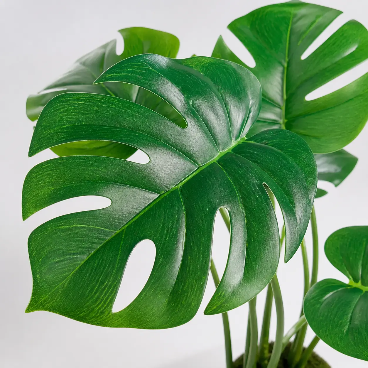UV-protected HDPE artificial monstera plant with deep vibrant green leaves — full color and structural integrity retained after two years of direct sun exposure